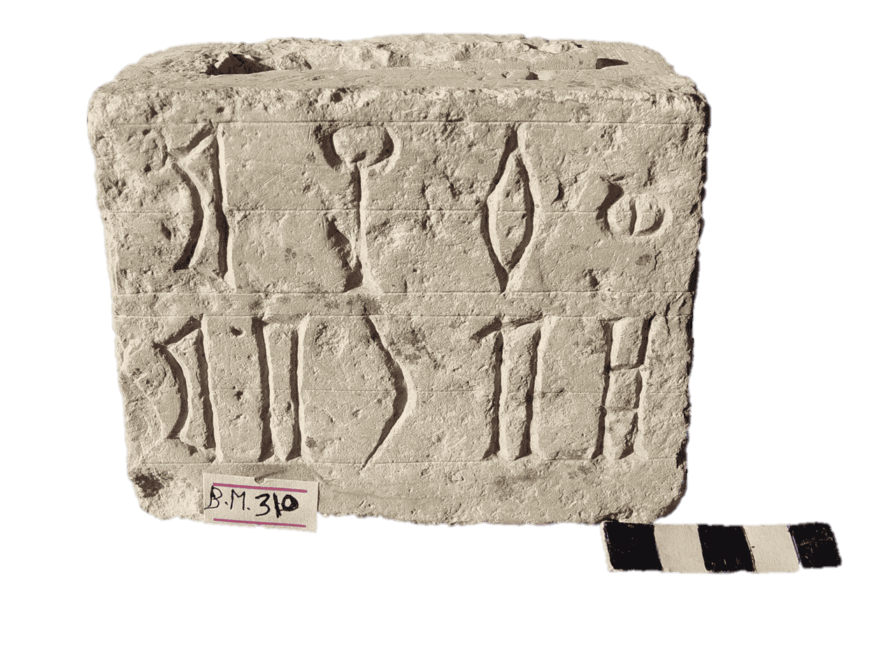 م.ب 310